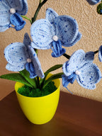Gehaakte orchideeplant in gele pot, blauw bloemdecor van acrylgaren