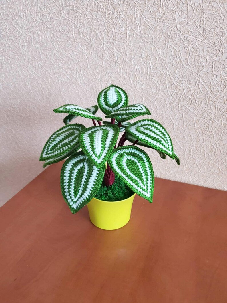 Gehaakt peperomia-blad met rond blad, botanisch plankaccent van acrylgaren in plastic pot