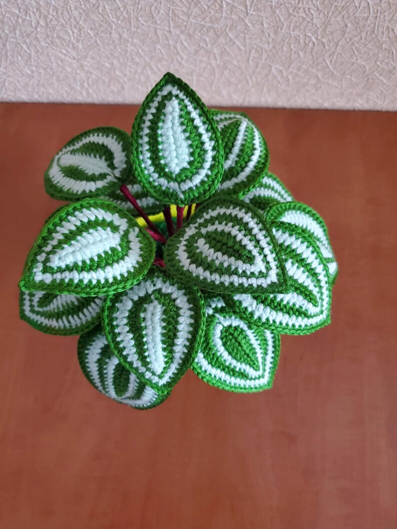 Gehaakt peperomia-blad met rond blad, botanisch plankaccent van acrylgaren in plastic pot