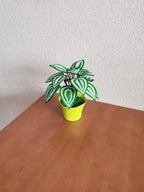 Gehaakt peperomia-blad met rond blad, botanisch plankaccent van acrylgaren in plastic pot