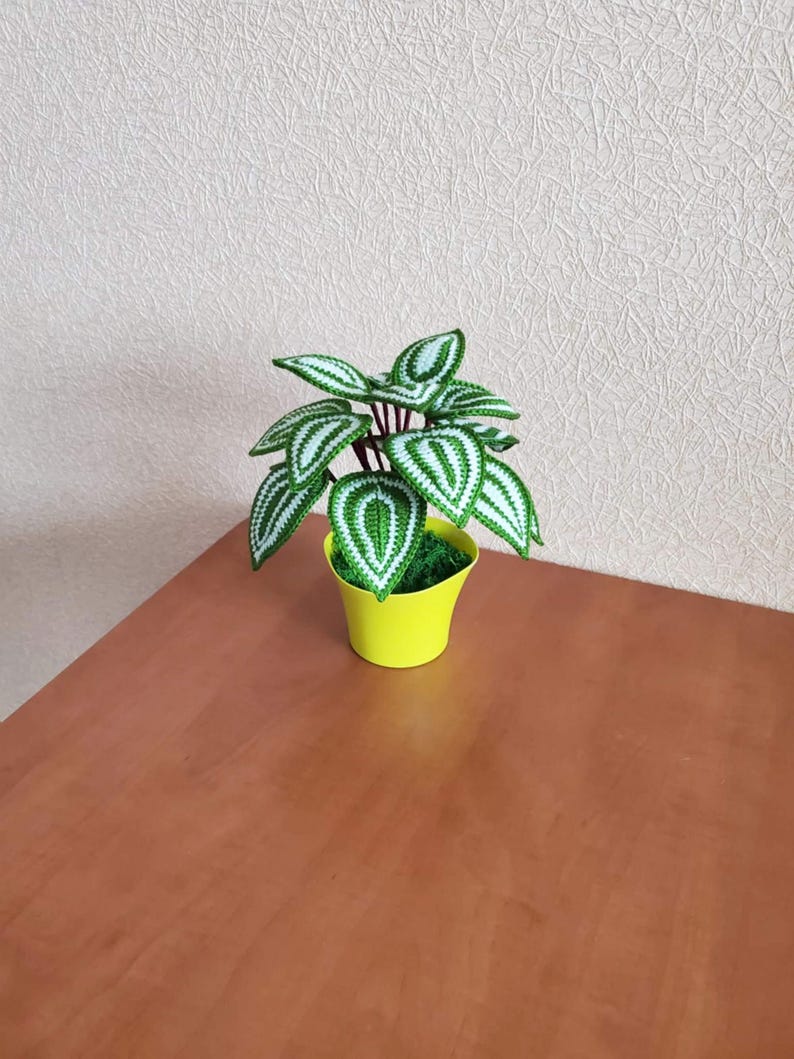 Gehaakt peperomia-blad met rond blad, botanisch plankaccent van acrylgaren in plastic pot