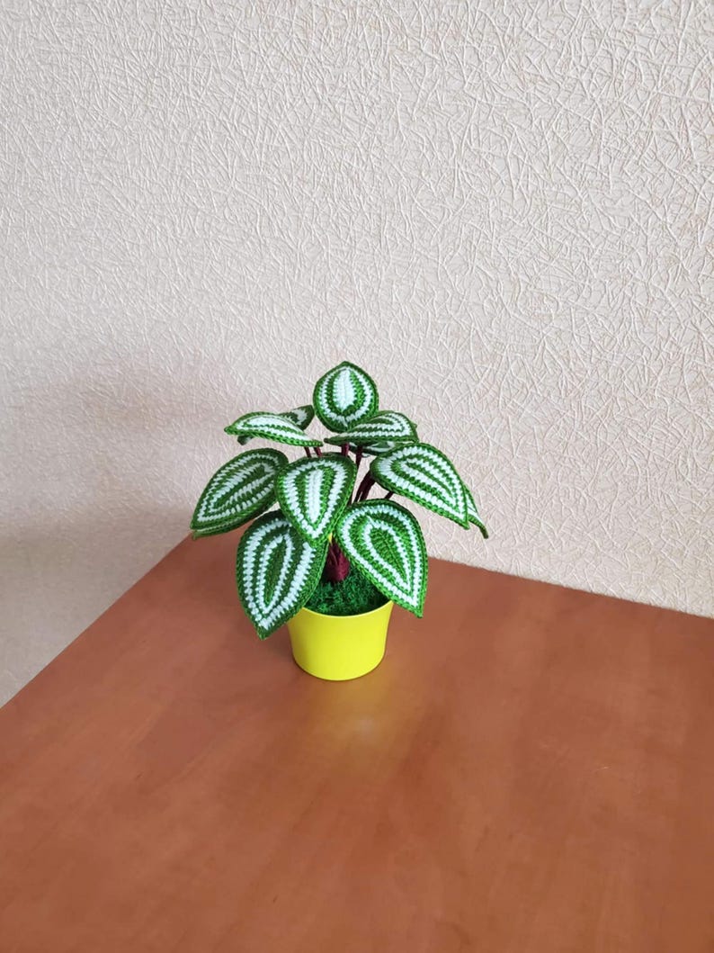 Gehaakt peperomia-blad met rond blad, botanisch plankaccent van acrylgaren in plastic pot