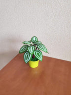 Gehaakt peperomia-blad met rond blad, botanisch plankaccent van acrylgaren in plastic pot