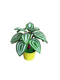 Gehaakt peperomia-blad met rond blad, botanisch plankaccent van acrylgaren in plastic pot