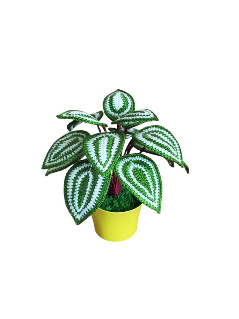 Gehaakt peperomia-blad met rond blad, botanisch plankaccent van acrylgaren in plastic pot