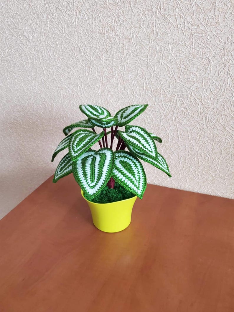 Gehaakt peperomia-blad met rond blad, botanisch plankaccent van acrylgaren in plastic pot