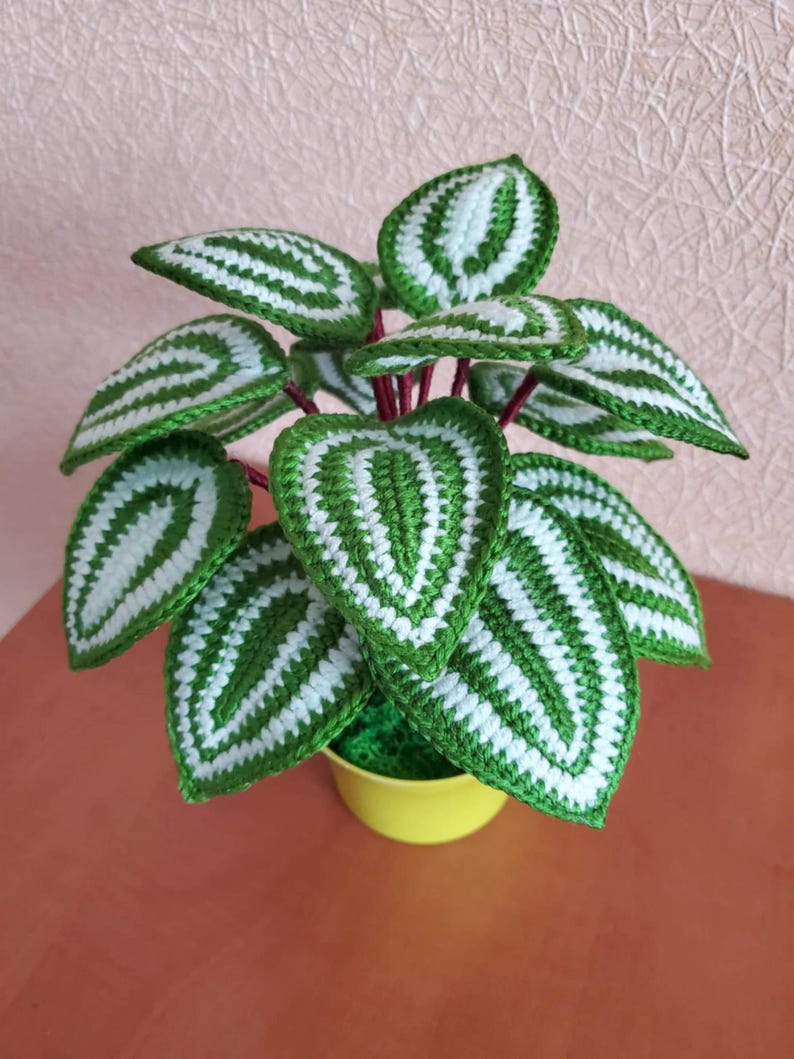 Gehaakt peperomia-blad met rond blad, botanisch plankaccent van acrylgaren in plastic pot