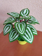 Gehaakt peperomia-blad met rond blad, botanisch plankaccent van acrylgaren in plastic pot
