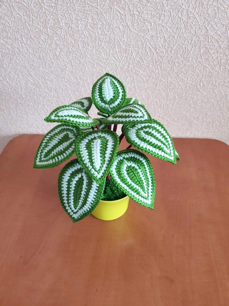 Gehaakt peperomia-blad met rond blad, botanisch plankaccent van acrylgaren in plastic pot