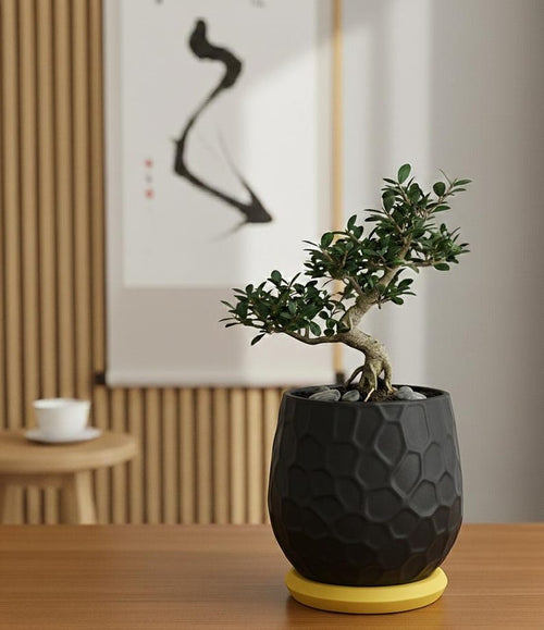 3D-geprinte plantenpot met honingraatpatroon en afneembare drainagebak voor vetplanten en cactussen