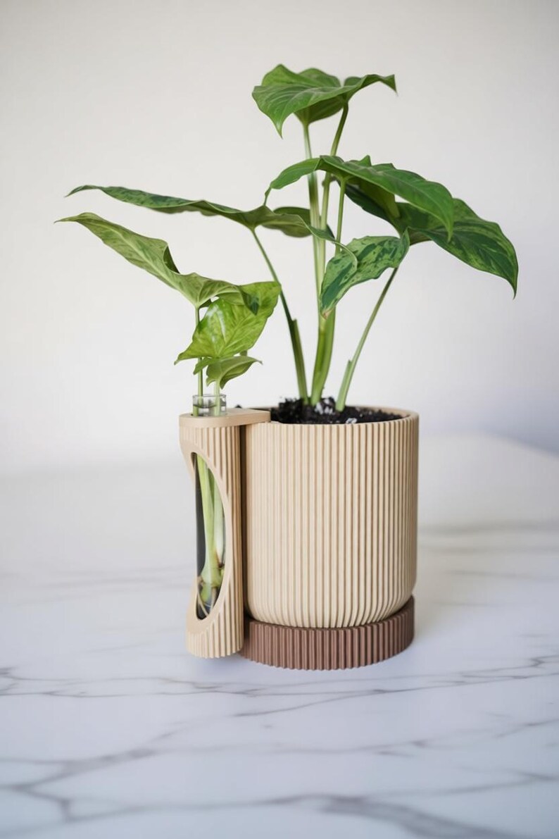Moderne plantenbak met geïntegreerde glazen kweekbuis en bijpassende schotel voor stekken