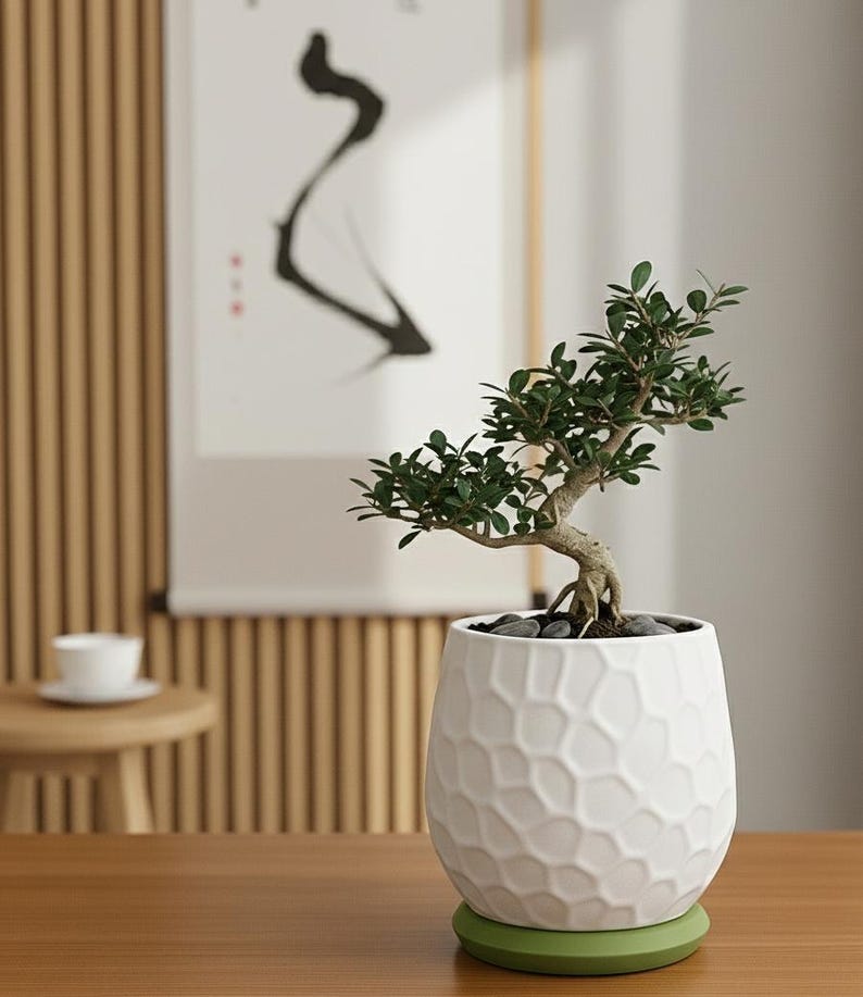3D-geprinte plantenpot met honingraatpatroon en afneembare drainagebak voor vetplanten en cactussen