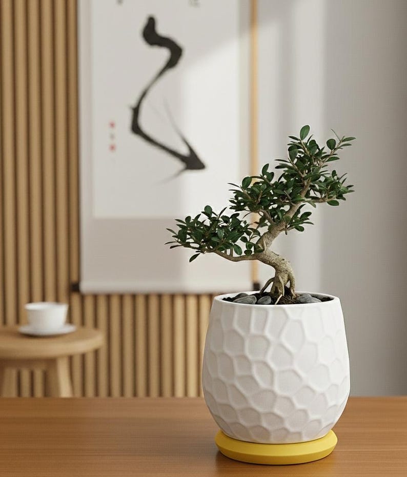 3D-geprinte plantenpot met honingraatpatroon en afneembare drainagebak voor vetplanten en cactussen