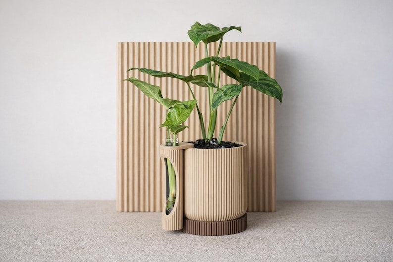 Moderne plantenbak met geïntegreerde glazen kweekbuis en bijpassende schotel voor stekken