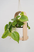 Hangende plantenbak met geïntegreerde lekbak en draagframe voor binnenshuis