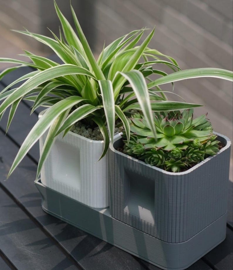 Dubbele plantenpottenset met langwerpige afwateringsschaal en 3D-geprinte potten voor vetplanten en cactussen