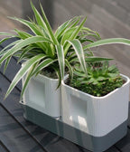 Dubbele plantenpottenset met langwerpige afwateringsschaal en 3D-geprinte potten voor vetplanten en cactussen