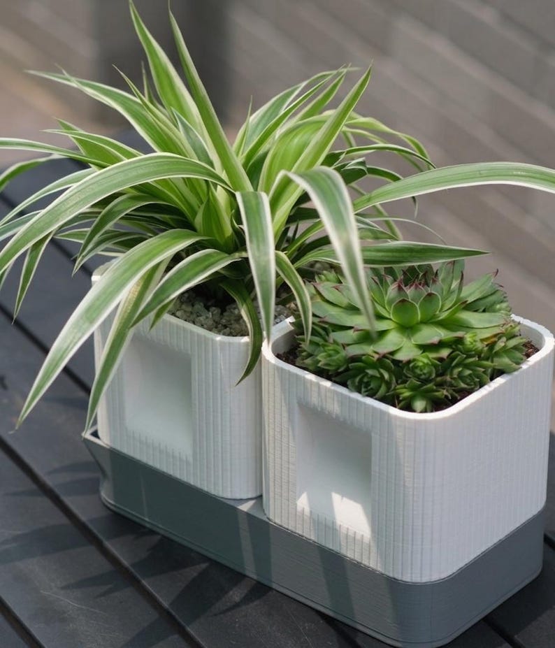 Dubbele plantenpottenset met langwerpige afwateringsschaal en 3D-geprinte potten voor vetplanten en cactussen