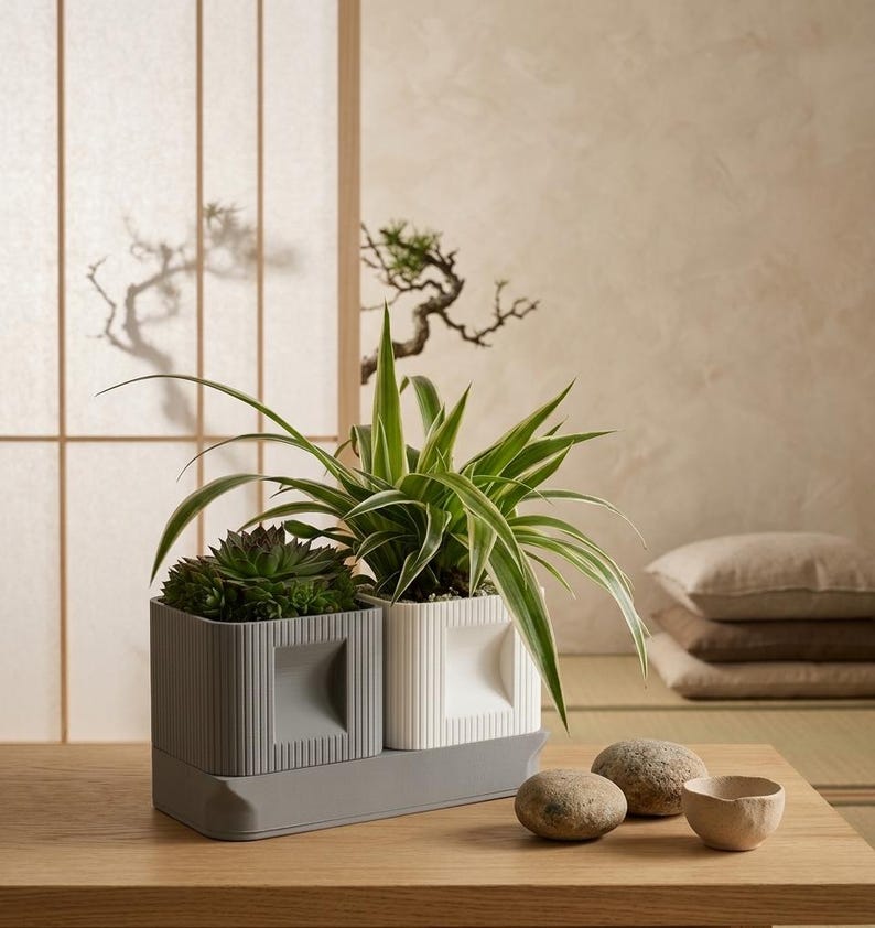 Dubbele plantenpottenset met langwerpige afwateringsschaal en 3D-geprinte potten voor vetplanten en cactussen