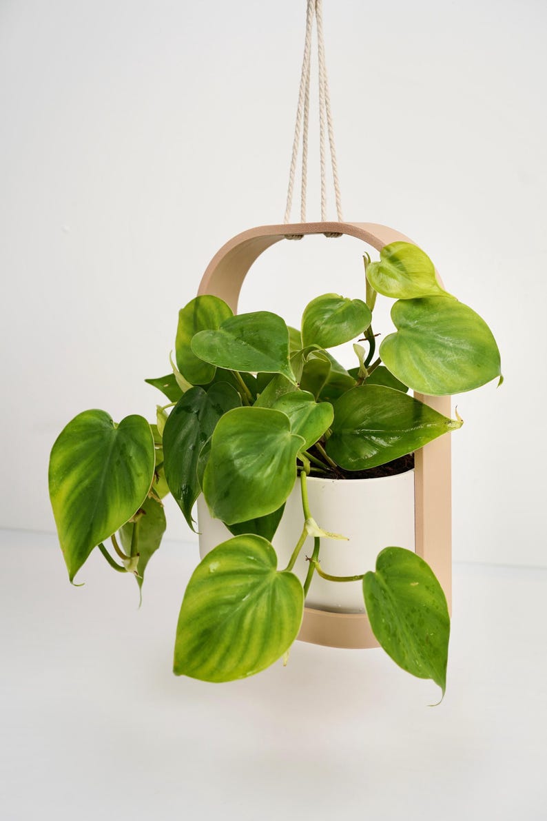 Hangende plantenbak met geïntegreerde lekbak en draagframe voor binnenshuis