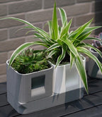 Dubbele plantenpottenset met langwerpige afwateringsschaal en 3D-geprinte potten voor vetplanten en cactussen