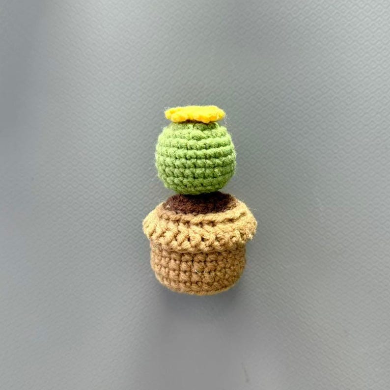 Gehaakte cactus koelkastmagneten, handgemaakte lettervormige plantmagneten voor keukendecor