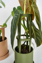 Modulaire bloempot met plantensteun en lekbak voor klimplanten en hoge kamerplanten