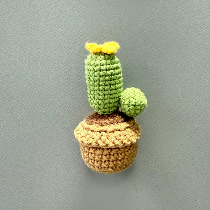 Gehaakte cactus koelkastmagneten, handgemaakte lettervormige plantmagneten voor keukendecor