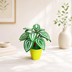 Gehaakt peperomia-blad met rond blad, botanisch plankaccent van acrylgaren in plastic pot